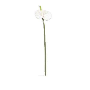 Tige Anthurium artificiel L 66 cm Crème