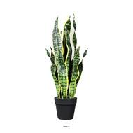Sanseveria artificiel en pot H 65 cm en plastique vert-blanc