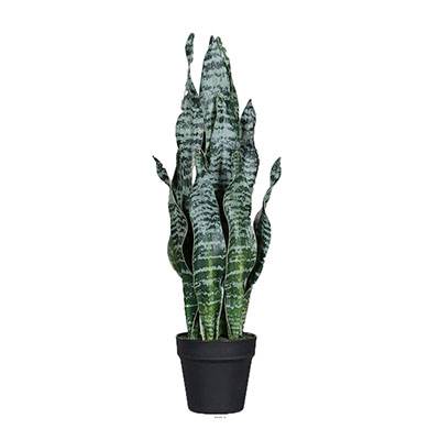 Sanseveria artificiel en pot H 65 cm en plastique vert-blanc