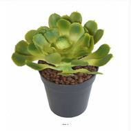 Joli Aloe artificiel en piquet H 18 cm L 15cm Vert