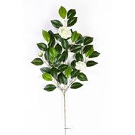 Superbe Branche de camelia artificiel h 55cm avec fleurs crème