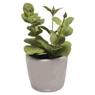 Herbe aromatique artificielle Menthe H 17 cm, D 11cm pot Béton
