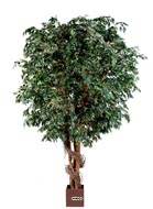 Ficus Benjamina Geant artificiel H 320 cm L 130 cm 8448 feuilles en pot