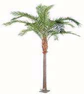 Palmier Phoenix factice plaque finition Luxe belle tte H440cm Vert