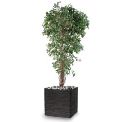 Ficus Benjamina artificiel petite feuille tronc lianes en pot tronc naturel H 180 cm Vert