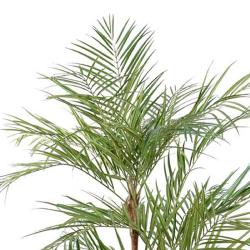 Palmier Areca artificiel 3 troncs naturels 3 tetes en pot H 170 cm Vert