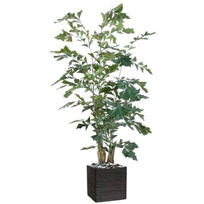 Palmier Caryota Artificiel H 190 cm L 80 cm en pot