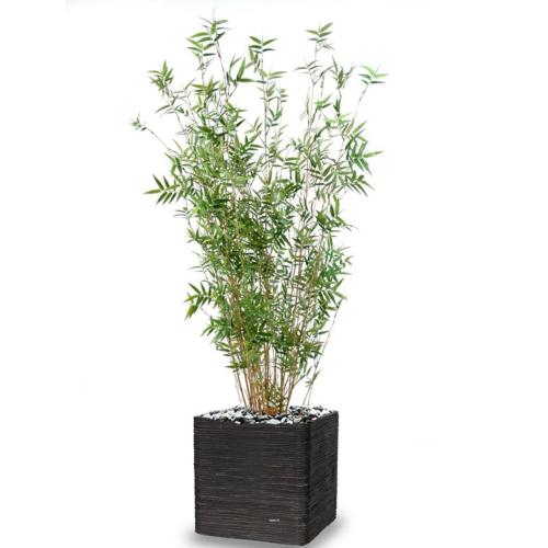 Bambou Oriental Artificiel cannes fines en pot H 100 cm D 35 cm Vert