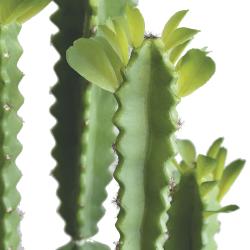 Euphorbe Trigona Succulent plante artificielle en pot Beton Mousse PU H 100 cm Vert