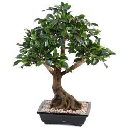 Bonsaï Ficus Artificiel H 55 cm D 60 cm en pot