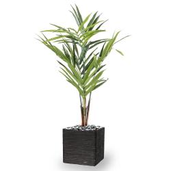 Palmier Kentia artificiel en pot tronc semi-naturel H 170 cm 7 palmes