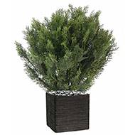 Cyprès artificiel buisson en pot anti-UV pour extérieur H 75 cm Vert