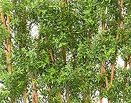 Haie d'eucalyptus artificiel sur socle pour extérieur H 110 cm L 105 cm