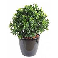 Laurier artificiel en pot buisson extérieur D 45 cm