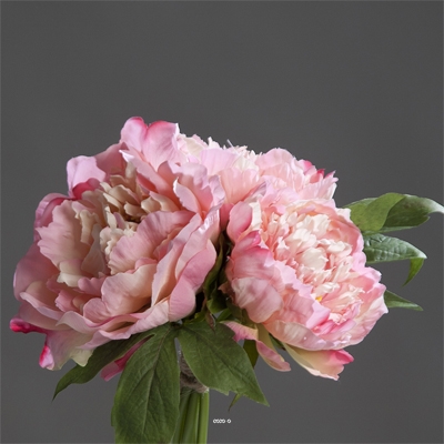 Bouquet de 3 Pivoines épanouies factices Corde et feuillage H26cm Rose