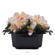 Bac carré fleurs artificielles Orchidée Rose-crème pour la Toussaint