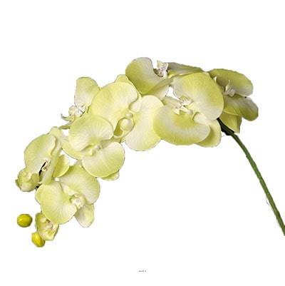 Orchidée Lisa artificielle Vert été H98cm 8 fleurons 4 boutons qualité