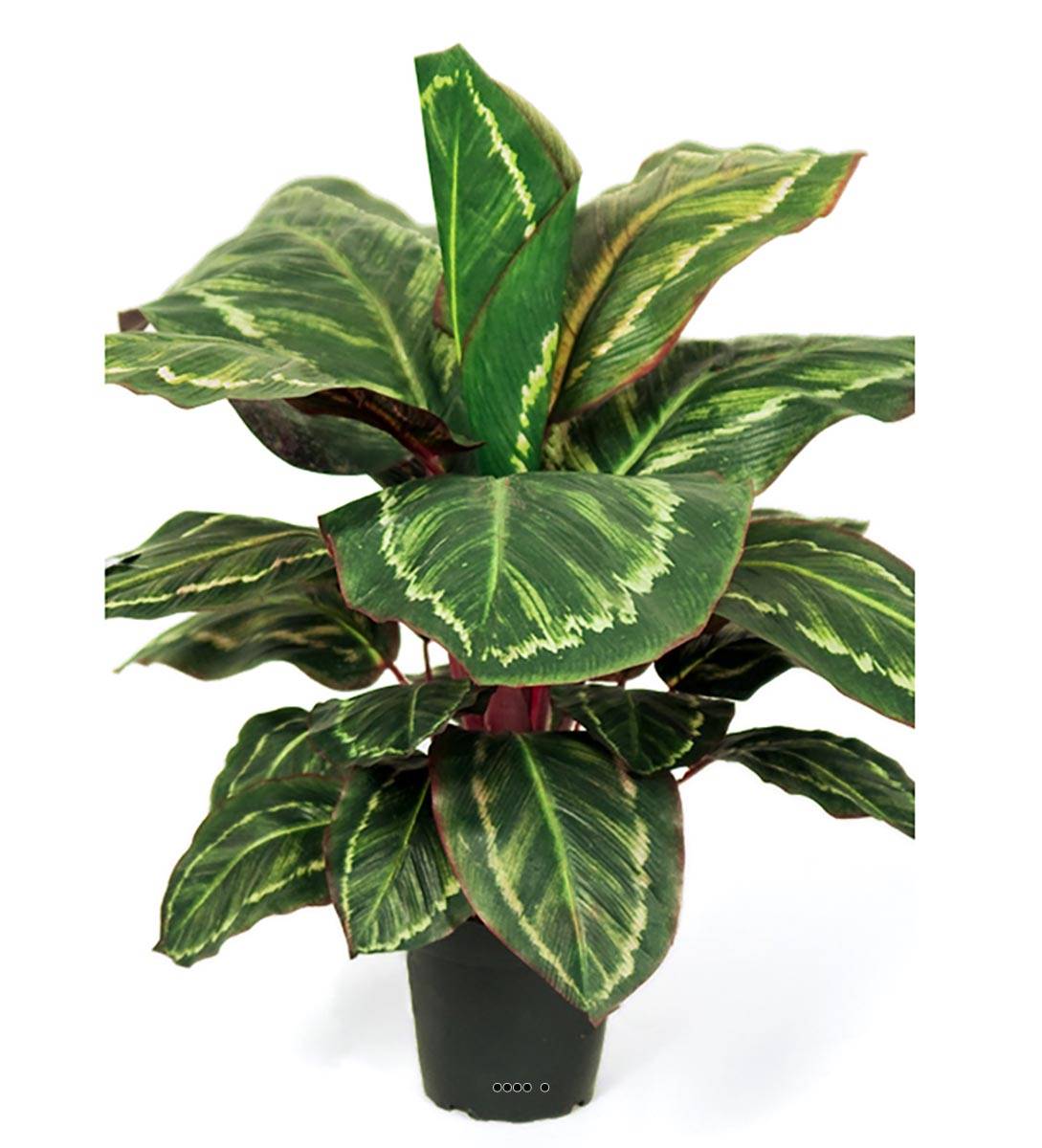 Plante artificielle : Pot tradescantia retombant H.25 cm