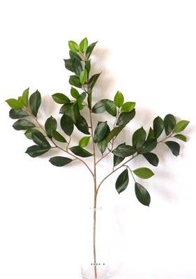 Branche de ficus artifiel Retusa H 65 cm