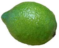 Citron vert artificiel en lot de 3 en Plastique soufflé H 80x60 mm