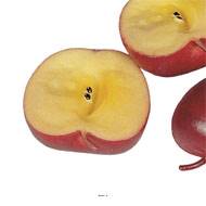 Demi Pomme artificielle Rouge X 3 en Plastique soufflé H 65x40 mm
