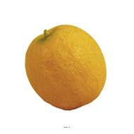 Melon artificiel en lot de 3 en Plastique souffl H 110 mm