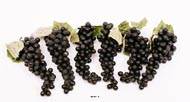 Raisin Noir factice 90 grains x6 Plastique souffl L28cm