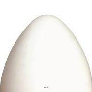 Œuf blanc artificiel en Plastique soufflé H 300x200 mm