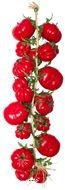 Grappe de 20 Tomates Artificielles en Plastique Soufflé – L 60 cm D 15 cm