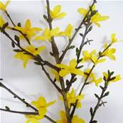 Branche de Forsythia artificiel Jaune H 88 cm 41 fleurs superbe