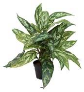 Aglaonema plante artificielle en pot H 37 cm très dense