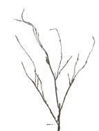Branche de bois artificielle, 3 ramures, H 95 cm - BEST