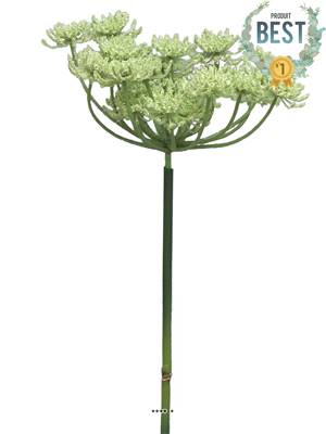 Fleur de carotte sauvage artificielle en tige, H72cm Crème vert - BEST