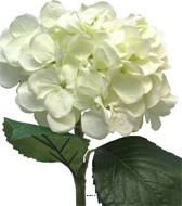 Hortensia artificiel en branche, H 48 cm Crème - BEST