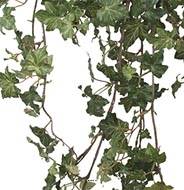 Chute de lierre artificiel en pot, petites feuilles, L 85 cm