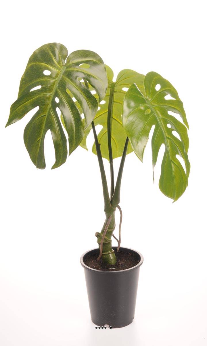 Plante artificielle Monstera avec pot, plantes artificielles pour  décoration d'intérieur, fausses plantes, plantes artificielles d'intérieur,  grandes plantes artificielles pour décoration de salon – : :  Cuisine et Maison