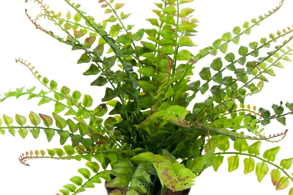 Fougère Blechnum spicant artificielle en pot, H 30 cm, D 35 cm
