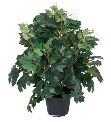 Cissus artificiel en pot, H 35 cm, D 23 cm