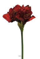 Amaryllis artificiel H 65 cm Superbe Rouge