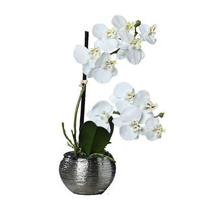 Orchidée phalaenopsis artificielle en pot céramique, H 30 cm Crème