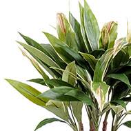 Dracaena artificiel type cordyline en pot H 85 cm feuilles tissu