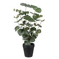 Eucalyptus artificiel en pot H 55 cm 