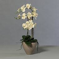 Superbe orchidée artificielle en pot céramique H 70 cm 3 hampes crème-orange