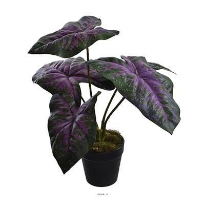 Caladium artificiel en pot H 35 cm D 30 cm Grandes feuilles tissu vert rose