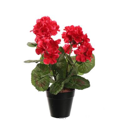 Pot de géranium artificiel, 5 têtes, H 31 cm, D 17 cm Rose beauty
