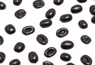 50 Grains de Café Artificiels : Décoration Factice pour un Arôme Visuel Saisissant