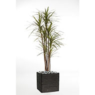 Dracaena magenta artificiel H 120 cm 141 feuilles en pot