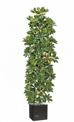 Schefflera artificiel Colonne H 195 cm D 70 cm 2820 feuilles en pot