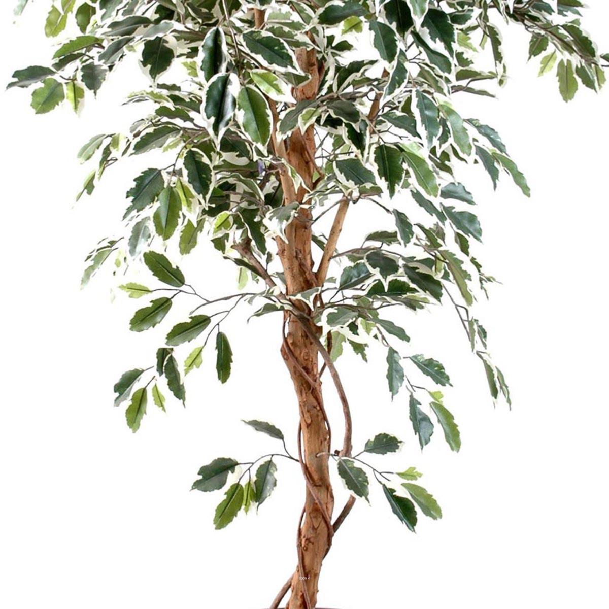 120 pièces ficuszweig 60cm avec 42 feuilles car art branche artificielle branche Ficus 