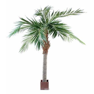 Palmier Dattier Artificiel H 250 cm D 120 cm en pot